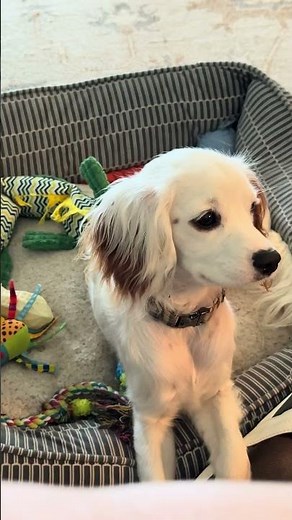 Mormon LDS General Conference October 2025