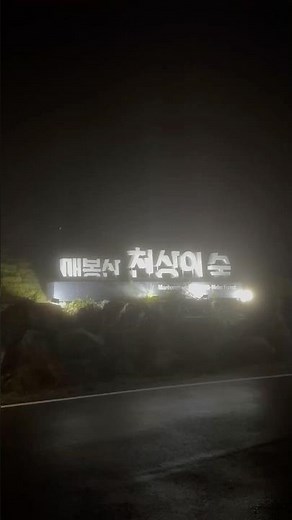 강원도 태백 매봉산 천상의숲캠핑장 #캠핑 #습도98%
