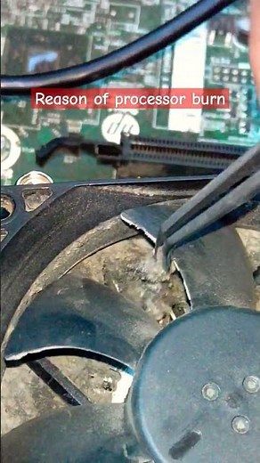 Reasons Why Computer Processors Burn Out: CPU Overheating & Cooling Issues Explained