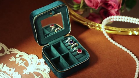 Travel Jewelry Case-Velvet Organizer Adjustable Compartments for Necklaces, Rings | Portable Luxury Travel Jewelry Box for Women, Gift-Worthy Design