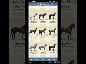 howrse Gameplay Part 4