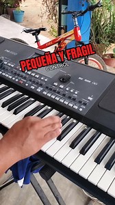 Pequeña y fragil - Grupo CONTROL en el teclado Korg Pa600 | Jose Vlogs