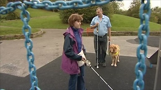 Bats inspire ultrasonic cane for blind