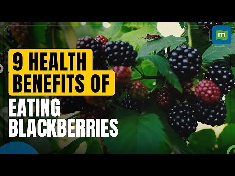 9 Health Benefits Of Eating Blackberries