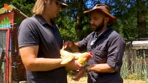 10K views · 55 reactions | In this segment of On Location, Coyote and...