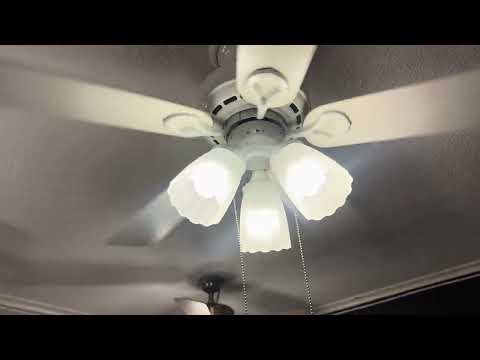 New Fan: Hunter Coastal Breeze Plus Ceiling Fan