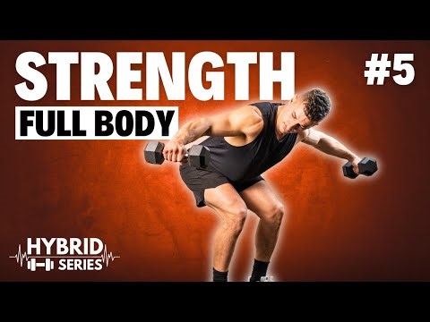 30 Min LIGHT DUMBBELL FULL BODY WORKOUT | 5 of Hybrid Series