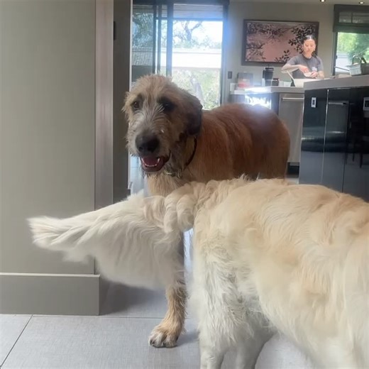 Jordyn Johnson on Instagram: "this is livin’"