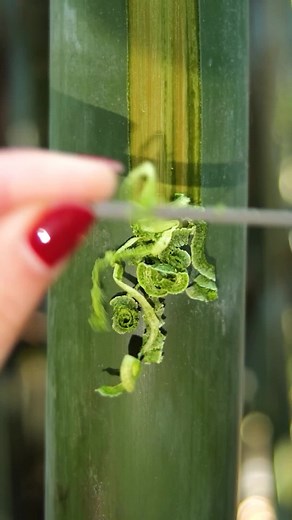 5-Minute Crafts | Camp like a champ with these genius hacks! 🏕️ 🥾 #5minutecrafts #intothewild #campinghacks #outdooradventures #naturelover | Instagram