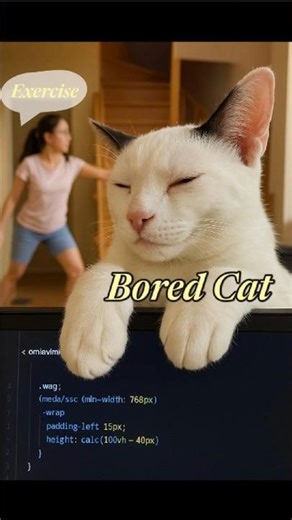Busy Coding, Busy Workout… and One Bored Cat 😹