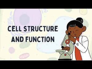 Cell Structure and Function