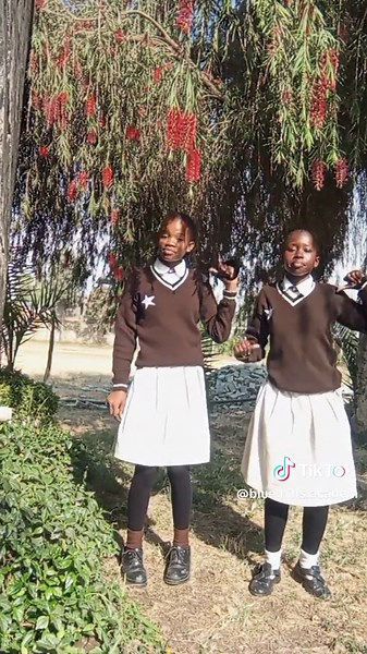 Closing School Mood: Blue Hills Technical School