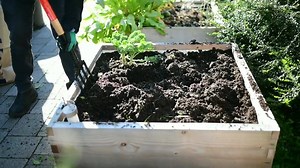 Peter from GardenWorks has tips and advice for B.C. gardeners for cleaning up the garden as we heading into late fall. | Global BC