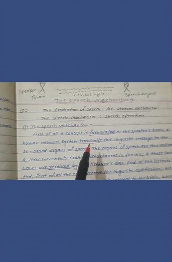 Speech Mechanism in Phonetics