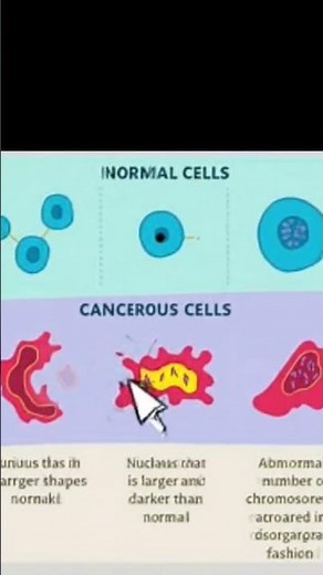 Normal Cell vs Cancerous Cell##cancer biology