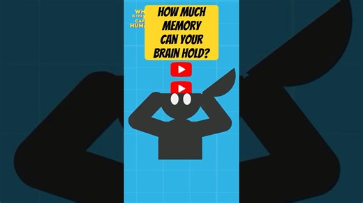 Learn how much information your brain can actually store