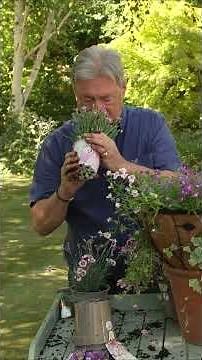 How to Build a Full, Colourful Hanging Basket
