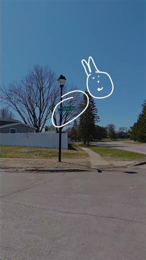 Mushing Down "Easter Ave" on EASTER! 🐰🚲 (100% Real Coincidence) #Bikejoring #Huskies