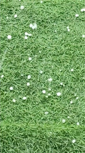 The FIRST Rain of 2026 just turned into a HAILSTORM.