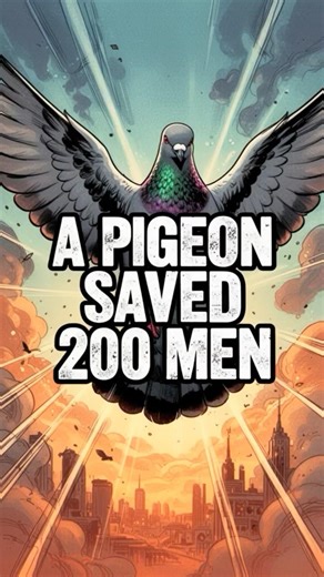 The Bird That Became a War Hero #ww2 #historylesson