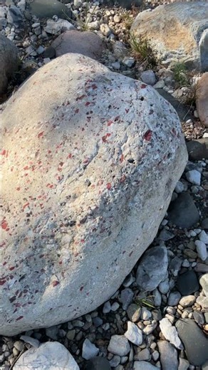 Puddingstone Boulder on Lake Huron