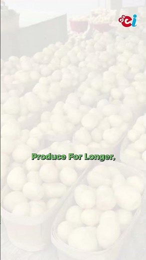 The Secret Behind Supermarket Freshness | Controlled Atmosphere Cold Storage Explained
