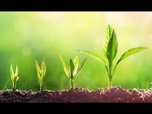 Class 5 Science lesson - Reproduction Plants | How Plants Grow | CBSE/ICSE/NCERT