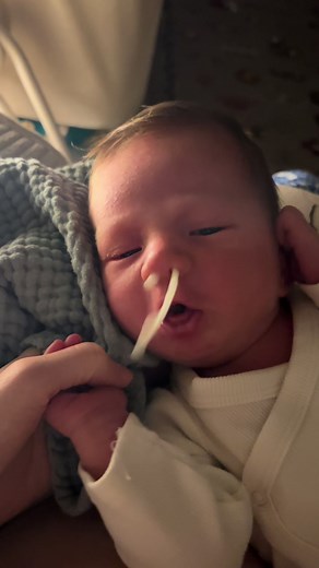 Milk Drunk Moments: Embracing Motherhood's Joys