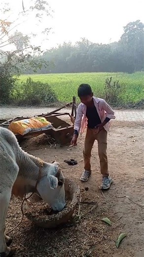 🤣🤣🤣😂😂😂