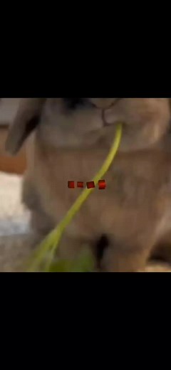 parte 4😮‍💨| edición| de #bunnyiglesias 🐰 enemigo| de #sae 📶 ||ojalá tengo un buen apoyo #creador_edits_rinitoshi #jkjkjkjk