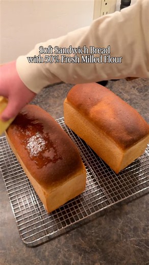 I’ve been greatly enjoying using freshly milled flour in my sourdough for the past year, but nothing quite hits like a simple yeasted sandwich loaf when you want to showcase the flavor of the grain you’re milling. This recipe from @breadwright does exactly that. I’ve got the recipe amounts here from when I made it but you need to go explore his substack. Trust me it’s worth the visit! AP flour 516g 50/50 mix fresh milled hard red and hard white wheat 516g Salt 21g Instant yeast 6g Water 659g Sof