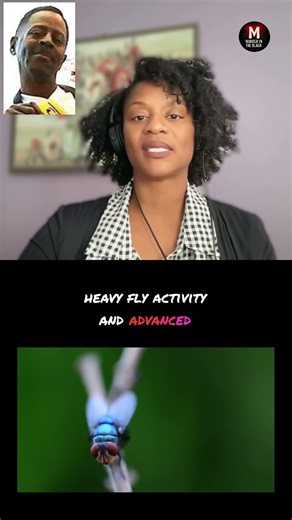 Decomposition In Jermaine Ross Case