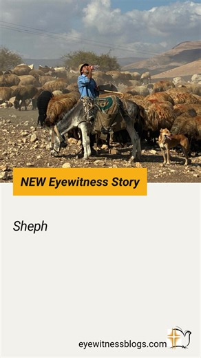 Ayman is a Bedouin shepherd from the Jordan Valley. For Bedouins,...