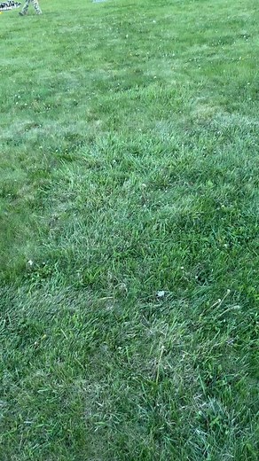 And the 2025 season is here celebration fireworks demo Scott Hopkins and crew, Pyro direct Badaboom fireworks demo some pro line cakes Derek Taylor, finishing up with pyro musical 🇺🇸 | Fireworks displays An American Tradition.