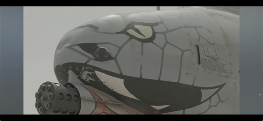 Exploring the A-10 Warthog: The Thunderbolt Aircraft