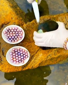 3.7M views · 34K reactions | Super Wonderful Pearls Harvesting!!! | Lahsihmedia | Facebook