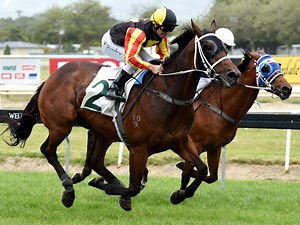 Fastnet Rock One Short Of His Century
