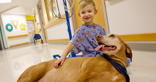 Gerald B. Shreiber Pet Therapy Program