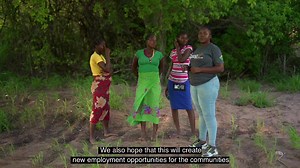 Restoring Biodiversity Through Landmine Clearance Thanks to funding from the U.S. Department of State  , APOPO has cleared minefields in Sengwe Corridor, Chiredzi District, creating safer spaces for wildlife to thrive. | The Herald-Zimbabwe | Facebook