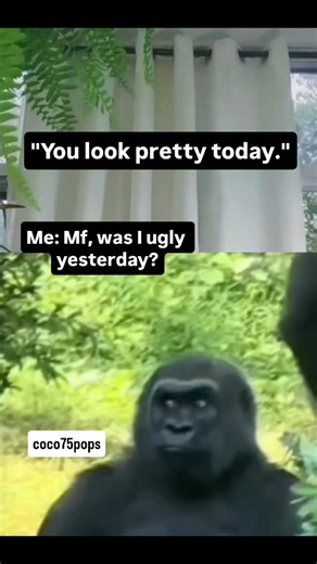 Coco Bobos | #memes #hilariousmemes #jokes #comedy #funny | Instagram