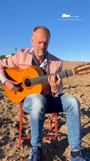 Final countdown: New Year Offer Ending Soon! Make 2026 the year you master the flamenco guitar… The new Online Flamenco Academy doesn't just give you a library; it gives you direct access to award-winning maestros through regular live Q&A sessions. Our three specialized curriculums take you from the very basics to advanced mastery, supported by our unique synchronized on-screen score system. Best of all, every lesson is professionally subtitled in English, and new material is released every week