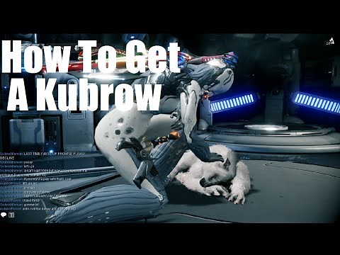 Warframe - How To Get Your Own Kubrow Pet