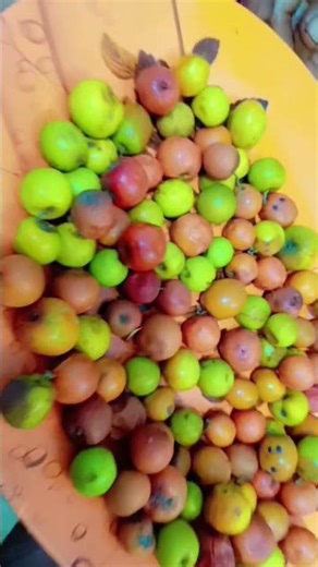 #ber #vlogs #trending #love #song #samosa #bollywood #fruit