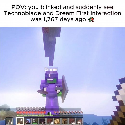 #dream #technoblade #dreamsmp #mcyt #minecraft