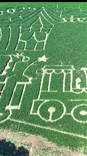 The headless horseman is coming to Conner Prairie 🐎 🎃! Enjoy nature, festivals and more at Connor Prarie! The 2025 Corn Maze opens Sept 27 - Tuesday to Sunday, 10 am - 5 pm. Head to This amazing maze was created by Precision Mazes #VisitIndiana #ConnerPrairie #ExploreCP #Indiana #Cornmaze | Visit Indiana