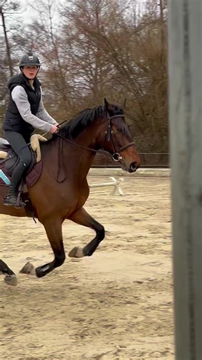 Incredible Jump by Clarck in Equestrian Competition