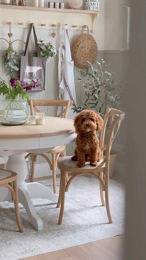 Cox and Cox on Reels