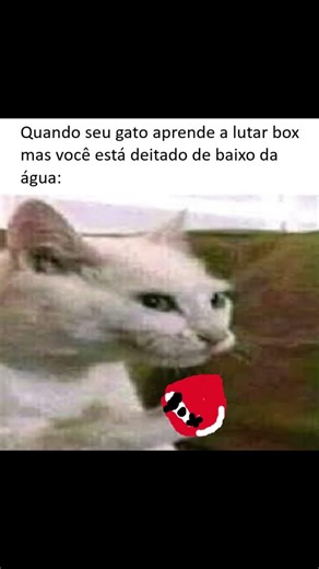 PROBLEMATIC MEMES-33