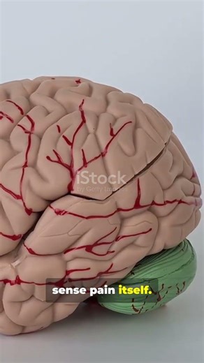 Doctors Do Brain Surgery Awake?! Here’s Why