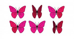 Cartoon Style Pink Butterflies Open Their Stock Footage Video (100% Royalty-free) 1100271643 | Shutterstock